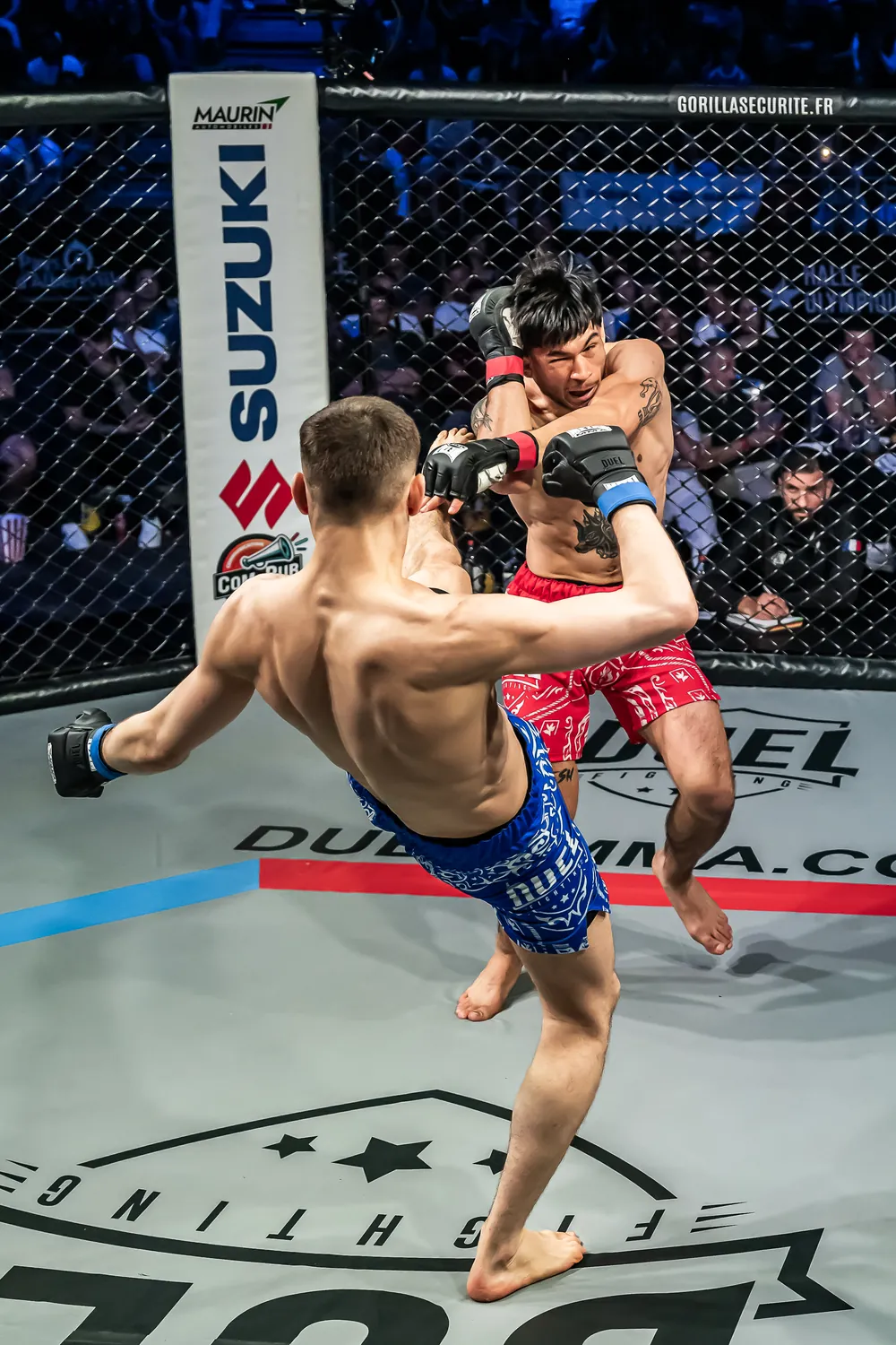 Combat de MMA dans la cage Duel Fighting