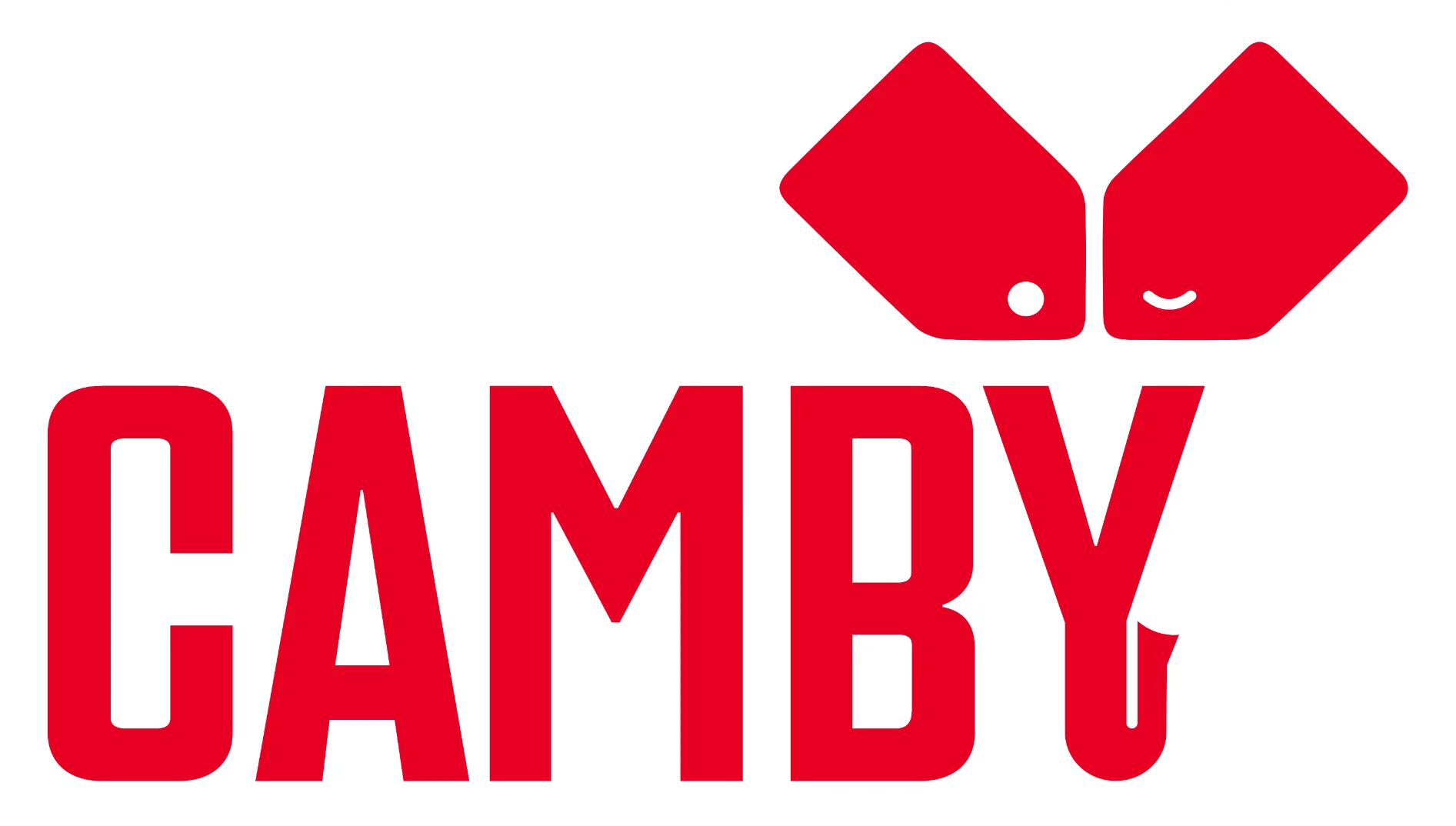 Partenaire DUEL - camby